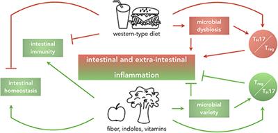 Dietary Habits and Intestinal Immunity: From Food Intake to CD4+ TH Cells